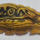 Mi Proyecto del curso cráneo águila . % Antonio Cruz Aldave tarafından hazırlanan Dövme Tasarımı projesi - 07.03.2020