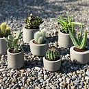 Concrete Planters. Un progetto di DIY di heavylittlethings - 03.07.2020