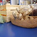 La Tienda Azul (2019). Design projeto de Maribel Arciniega Medel - 17.07.2019