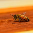 first embroidery. Un proyecto de Bordado de quartz - 01.07.2020