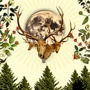 Mi Proyecto del curso: Ilustración con collage digital enfocado a producto. Un progetto di Design digitale di Oscar Leonardo Cajamarca Troncoso - 05.07.2020