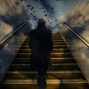 Stairway to the Skies . Photograph project by Lacey Hale - 03.13.2017