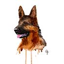 Animales . Arte plastice, Ilustrație tradițională, Ilustrație cu cerneală și Pictură în acuarelă de Ane Garal - 07.06.2020