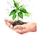 Flores . Arte plastice, Ilustrație tradițională și Pictură în acuarelă de Ane Garal - 07.06.2020