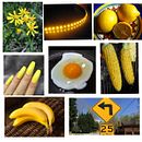 My project in From Beginner to Superillustrator course. Collage project by abigayl abby - 07.06.2020