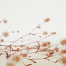 O livro como arte. Een project van Commerciële fotografie van denyze - 07.07.2020