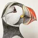 Bhaviya Rana Ein Projekt aus dem Bereich  von Bhaviya Rana - 20.06.2020