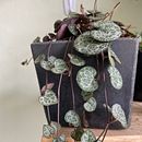 Mi Proyecto del curso: Creación de muebles en concreto para principiantes. Projekt z dziedziny Craft użytkownika Rebeca Villafuerte - 08.07.2020