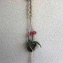 Meu projeto do curso: Design de acessórios em macramê. Macramê projeto de rc_schwarz - 10.07.2020