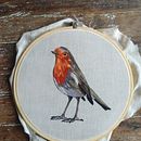 Mi Proyecto del curso: Pintar con hilo: técnicas de ilustración textil. Un progetto di Ricamo di Guadalupe Bosco - 12.07.2020