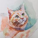 My project in Experimental Watercolor Techniques for Beginners course . % bbasia tarafından hazırlanan Sulubo, Ve a Resim projesi - 07.14.2020