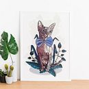 Gato vidriera. Un projet de Illustration traditionnelle et Illustration numérique de Mónica Robles M. - 11.08.2020