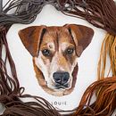 Pet Portrait Collection . Embroider project by Emillie Ferris - 07.16.2017