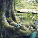 Mi Proyecto del curso: Fotomontaje surrealista con Photoshop . Un progetto di Collage, Arte concettuale, Creatività, Fotografia e Ritocco fotografico di Omar Rodriguez Ceron - 19.07.2020