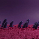 Mi Proyecto del curso: Animación en stop motion con plastilina. Un proyecto de Stop Motion de nathanleon1395 - 21.07.2020