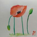 Trabajos previos. Pintura em aquarela projeto de Luz María - 21.07.2020