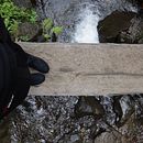 Descubriendo los secretos del Bosque Nuboso, Costa Rica.. Un progetto di Fotografia di lucia_lauvi - 24.07.2020