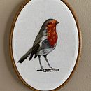 My project in Painting with Thread: Textile Illustration Techniques course. Un proyecto de Bordado de Gisela Mualin - 29.07.2020