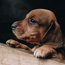 Fotos que he tomado. Projekt z dziedziny  Kompoz, cja w fotografii, Fotografia portretowa, Fotografia dokumentalna i  Fotografia plenerowa użytkownika Maria Jose Alvarez - 25.07.2020