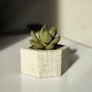 Mi Proyecto del curso: Creación de muebles en concreto para principiantes . % Andrea Fernanda Tumax Paredes tarafından hazırlanan Mimarlık, Dekoras, on, Ve İç Tasarım projesi - 07.26.2020