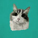 Meu projeto do curso: Pincéis e pixels: introdução à pintura digital no Photoshop. Un progetto di Disegno digitale di Barbara Cristina Xavier - 28.07.2020