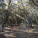 Caminos y llegadas Ein Projekt aus dem Bereich Realistische Zeichnung von marfrontera - 29.07.2020