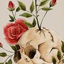 From death to life - remake. Acuarela. Traditional illustration, Botanical Illustration, and Watercolor Painting project by Celia Fernandez - 07.29.2020