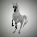 Black Horse . % Cris Morillas tarafından hazırlanan Fotoğrafik Kompozis, Ve on projesi - 07.30.2020