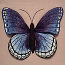 Butterfly Blue. Un projet de Broderie de Amanda Hendrickson - 11.09.2020