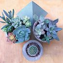 Mi Proyecto del curso: Creación de muebles en concreto para principiantes . Arsitektur proyek oleh Andlize Safa - 07.31.2020