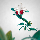 CATTLEYA. Creativit, Drawing, Pencil Drawing, Artistic Drawing, Digital Drawing, Design, Graphic Design, Traditional illustration, Botanical Illustration, Digital Illustration, Painting, Watercolor Painting, and Digital Painting project by martinezink - 08.03.2020