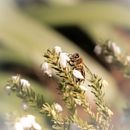 FOTOGRAFÍA. Un progetto di Fotografia all'aperto di Rocio Alvarado - 07.08.2020