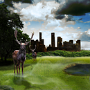 Mi Proyecto del curso: Secretos del fotomontaje y el retoque creativo. Een project van Retoucheren van foto's van Jonathan Henry Felix Cordova - 09.08.2020