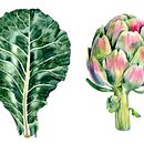 Aquarelas Botânicas. Un proyecto de Ilustración botánica y Pintura a la acuarela de Luli Reis - 12.08.2020