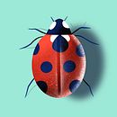 Animals. Children's Illustration, and Digital Illustration project by ashnakalra85 - 08.10.2020