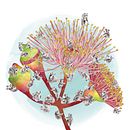 Australia. Un proyecto de Bellas Artes, Dibujo, Ilustración tradicional y Pintura de Anna Valpuesta Farré - 16.08.2020