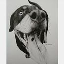 Realismo Pets. Un projet de Beaux Arts, Dessin au cra , et on de Gabriely Moraes Peixoto - 18.08.2020