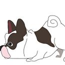 Mascotas. Desenho digital projeto de Helga Montalván - 21.08.2020