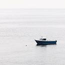 Mi Proyecto: Fotografía minimalista para Instagram . % Silvana Caravantes tarafından hazırlanan Fotoğrafçılık projesi - 08.24.2020