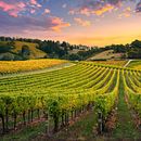 Mi Proyecto del curso: Storytelling aplicado a marcas Ein Projekt aus dem Bereich Marketing von Jessica Cruz Rosales - 03.09.2020