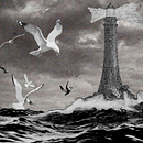 Mi Proyecto del curso: Collage animado con Adobe After Effects. Projekt z dziedziny  Animacja użytkownika nivvvo nivvvo - 28.08.2020