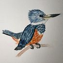 Mi Proyecto del curso: Ilustración naturalista de aves con acuarela. Un projet de Beaux Arts, Dessin artistique , et Aquarelle de jammes73 - 30.08.2020