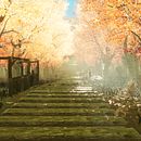 Autum Lost Woods. . % Juan Cruz Nicita tarafından hazırlanan 3D projesi - 09.01.2020