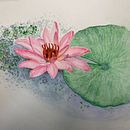 Duas Flores Brasileiras . Een project van  Botanische illustratie van Ruth Nogueira - 04.09.2020