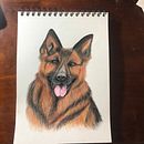 Mi Proyecto del curso: Técnicas experimentales de acuarela para principiantes  . Ilustrație tradițională de Constanza Pérez Mellado - 09.06.2020