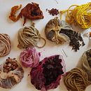 Descubriendo la Naturaleza. Un proyecto de Artesanía de María Angélica Gastó Rosselot - 06.09.2020