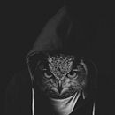 Owl . Photograph, Digital Photograph, Photomontage, and Photo Retouching project by SA CA - 09.07.2020
