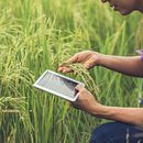 Mi Proyecto del curso: Agrobedija. Un proyecto de Desarrollo Web, Diseño Web y Paisajismo de Antonio Bustos - 08.10.2020