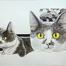 Projeto Gato. Desenho projeto de andreziculas - 11.09.2020