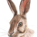 Meu projeto do curso: Técnicas experimentais de aquarela para principiantes . Projekt z dziedziny Malowanie akwarelą użytkownika Ana Talita - 11.09.2020